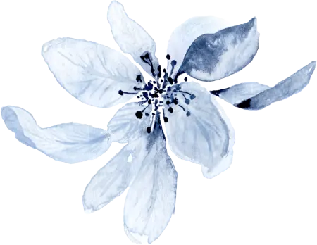 海军蓝色金线水彩花卉