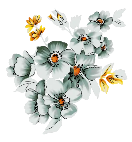 高清中国古风花朵插画素材