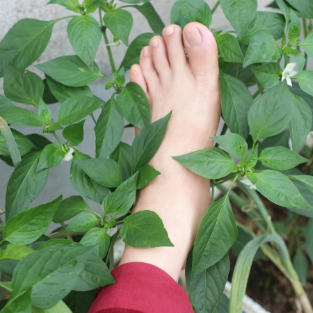 蔬菜美足拍摄 [18P]