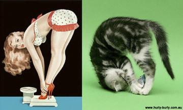 海报女郎与猫