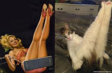 海报女郎与猫