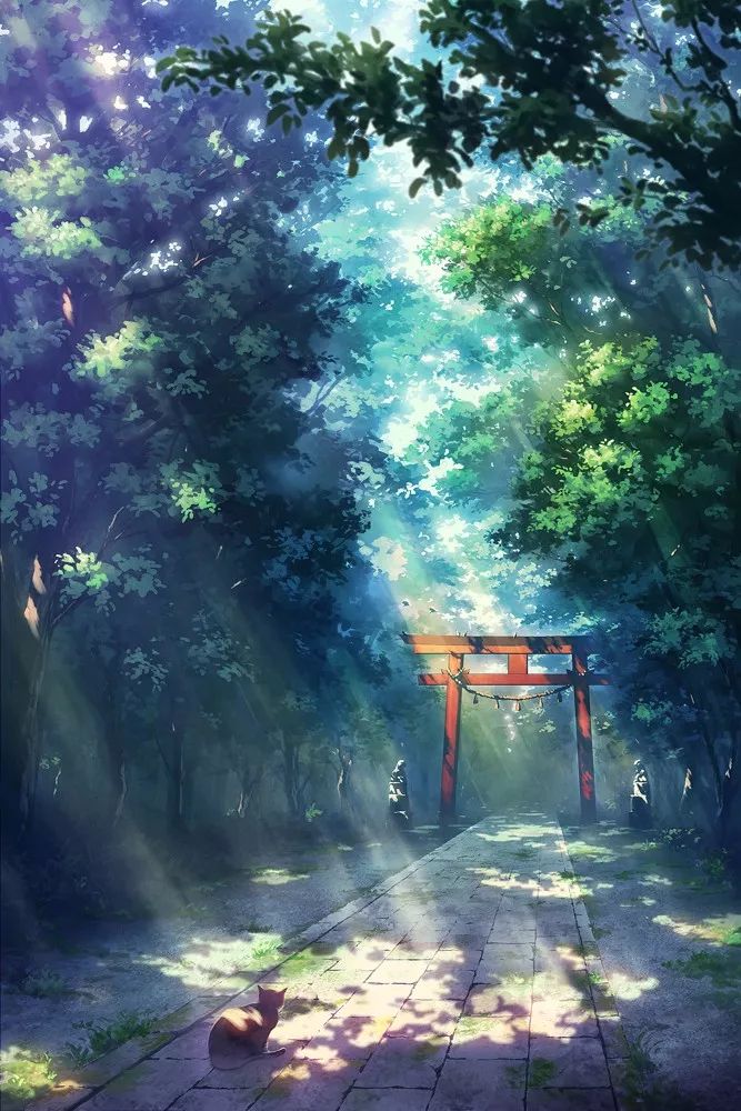 郁郁葱葱的插画特辑