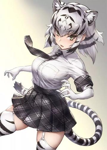 动漫猫耳娘