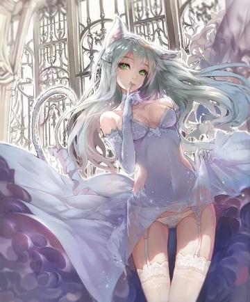 动漫猫耳娘