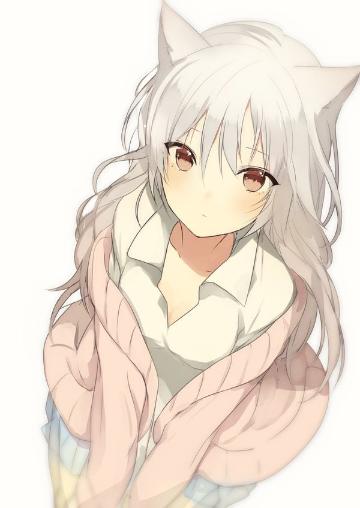 动漫猫耳娘