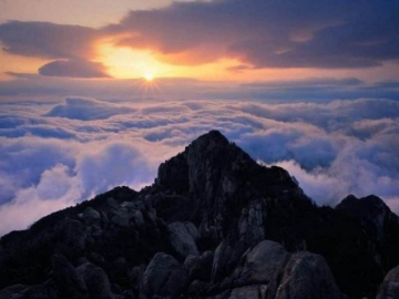 登雄伟泰山，看天下奇观