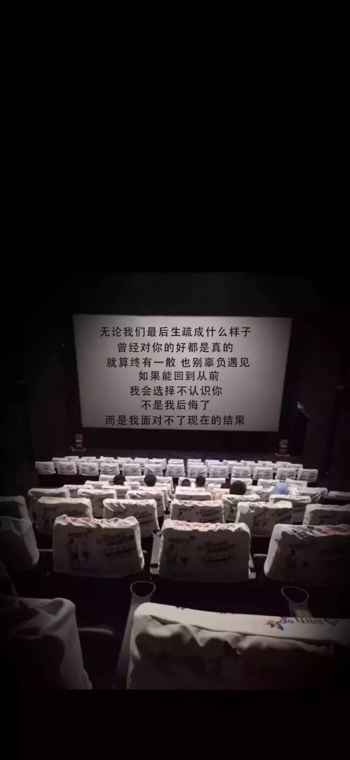 图文壁纸｜白茶清欢无别事，我在等风也等你