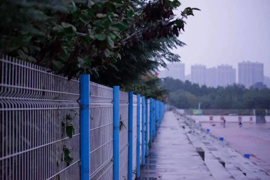 河南各大高校秋景图，又来霸屏啦！快看有没有你的学校！