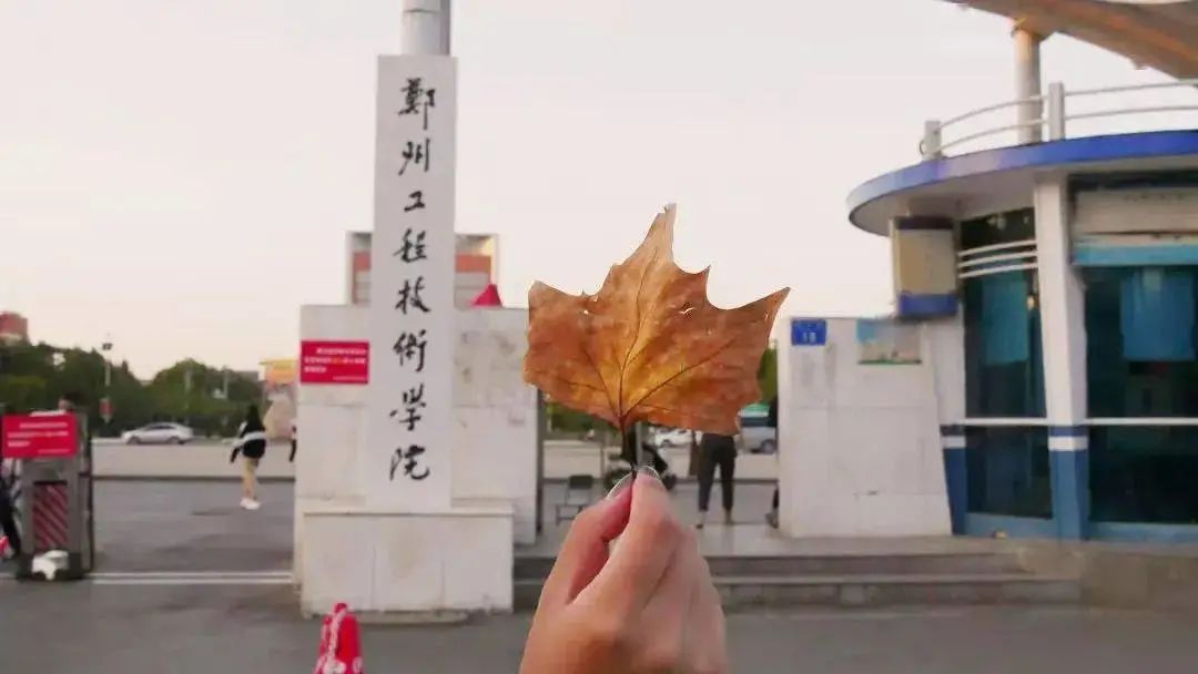 河南各大高校秋景图，又来霸屏啦！快看有没有你的学校！