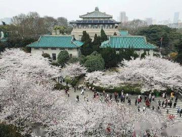 花开了，欢迎你们回来！