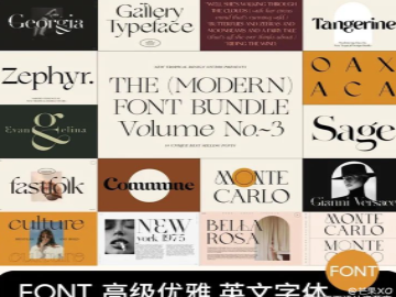优雅轻奢衬线英文字体