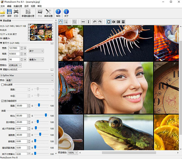 PhotoZoom Pro 8破解版