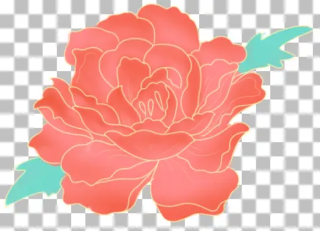 手绘植物花卉插画