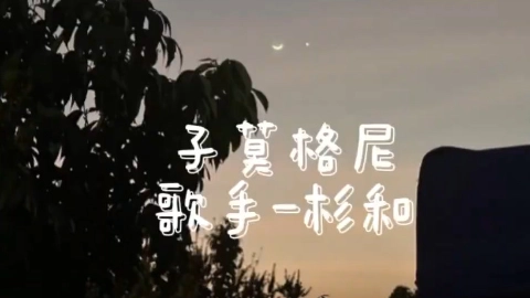 〖子莫格尼〗杉和—抖音热门歌曲